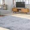 5 x 7 Feet Modern Rectangular Soft Shag Area Rug for Living Room Bedroom